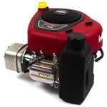 Briggs & Stratton 21R702-0070-F1 Vertical Shaft Engine