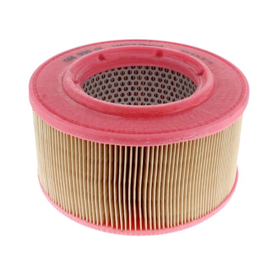 Hatz Air Filter 1D (LHMEZ) Series Engine & Belle RPC6 Rev Plate - 01493000