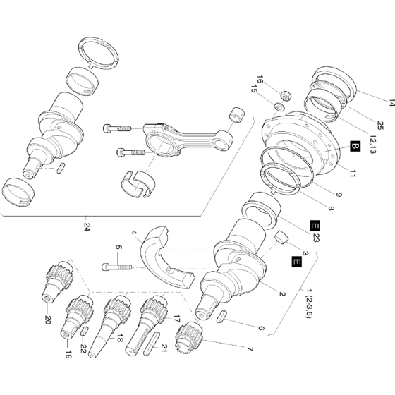 Crankshaft, Bearing Flange Assembly for Hatz 1D41 (41.22, 41.21) M Basic Engine