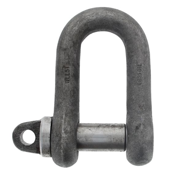 Alloy Steel Tested D Lifting Shackle with Screw Collar Pin - S.W.L. 5 Ton