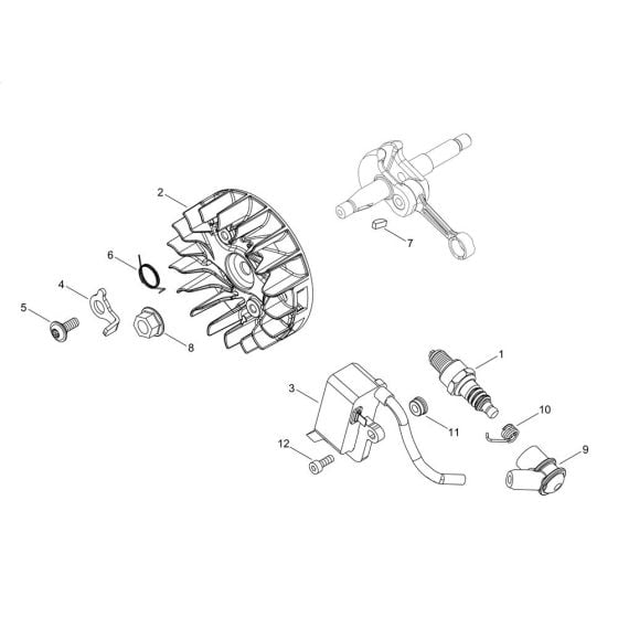 Magneto for Shindaiwa 251TS Chainsaw