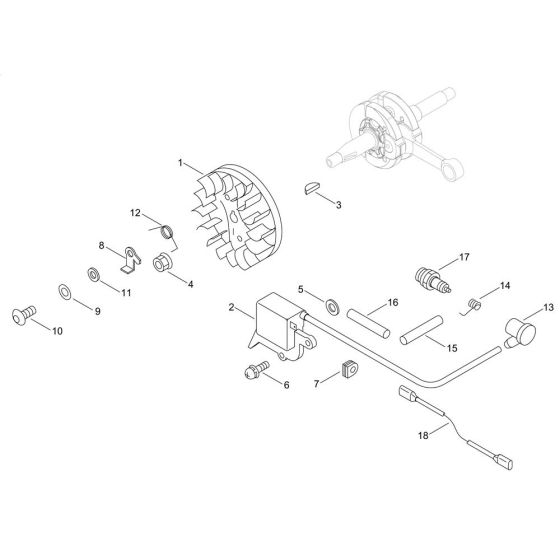 Magneto for Shindaiwa 361WS Chainsaw