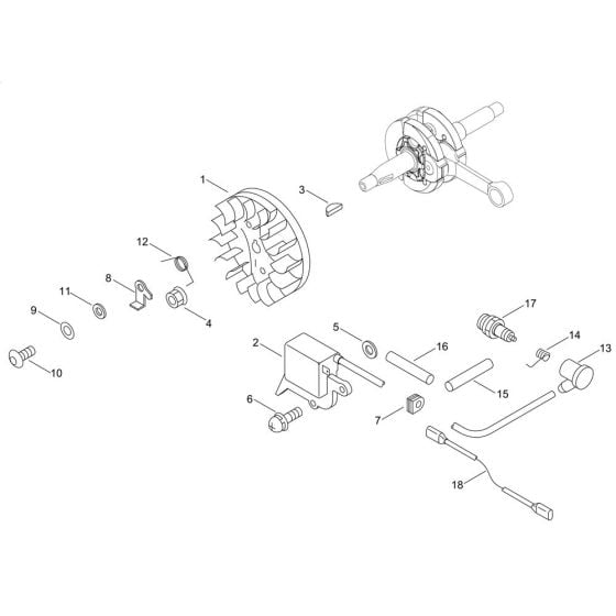 Magneto for Shindaiwa 362WS Chainsaw