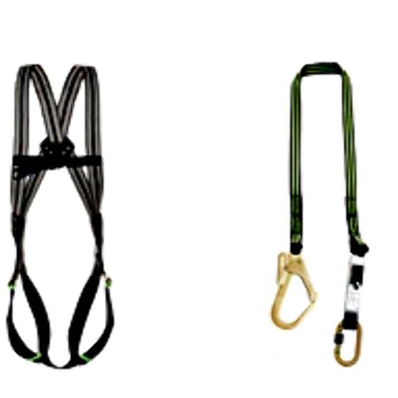 Standard Safety Harness Kit