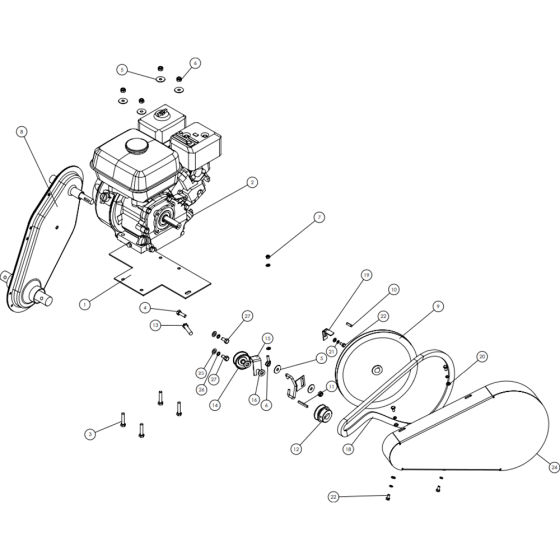 Engine Assembly for Camon C2000 Tillers