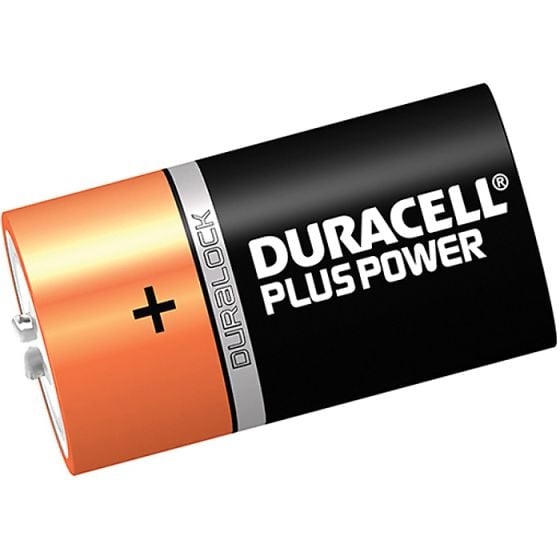 D Cell Alkaline Batteries