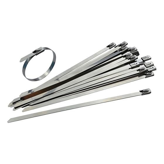 Stainless Steel Cable Ties