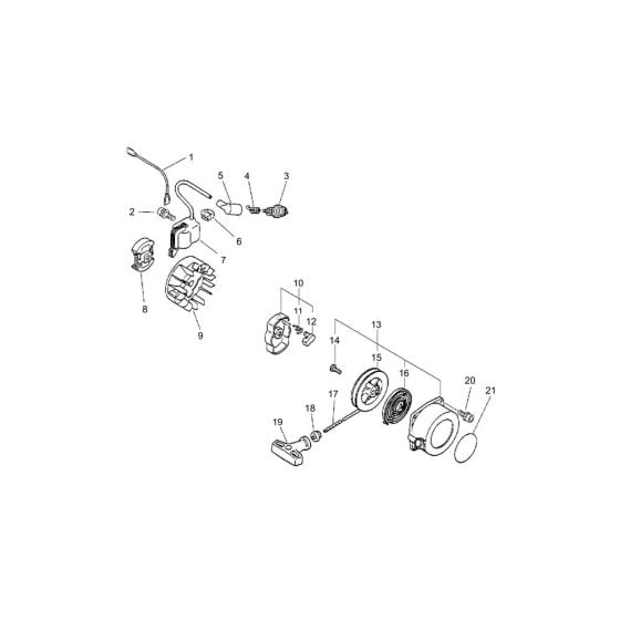 Starter, Magneto, Clutch for ECHO HCA-2500 Hedgetrimmer