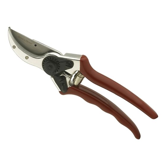 Professional Bypass Secateurs by Kent & Stowe - 70100461