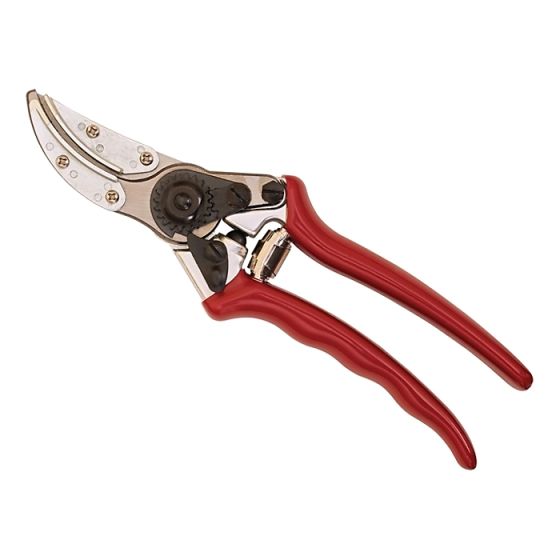 Rose Cut & Hold Secateurs by Kent & Stowe - 70100466