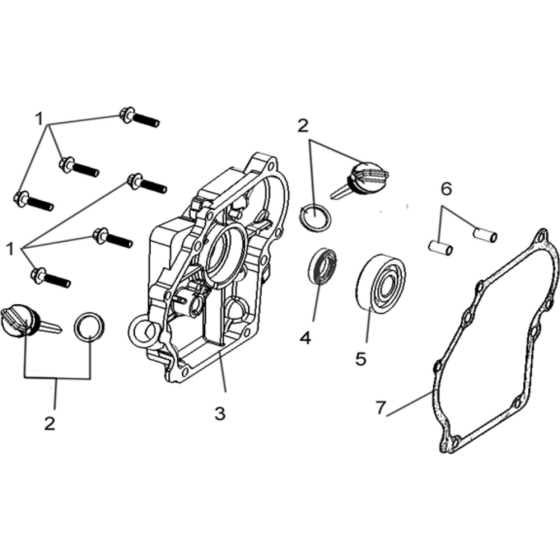 Crankcase Cover Assembly for Loncin LC154F-1 with Oil Alarm (87cc, 2.8hp) Twin Series Engine