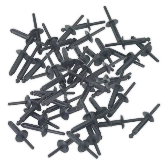 Plastic Rivet Dia.6.3 x 25.2mm Pack of 50 Sealey Part No. PR002