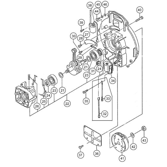 Magneto for Tanaka TBL4600 Blower