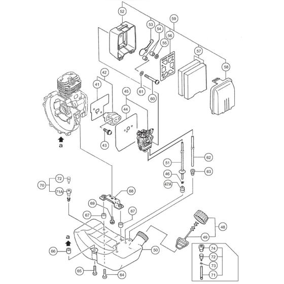 Carburettor, Fuel Tank for Tanaka THB2510 Blower