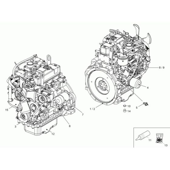 Engine Assembly for Neuson 2001 Dumper