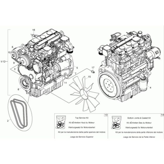 Engine Assembly for Neuson 6001 Dumper