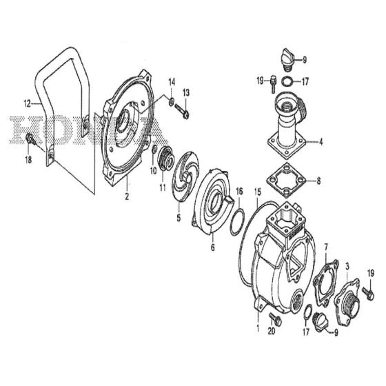 Complete Assembly for Honda WX10 Water Pump