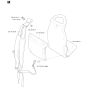 Harness Assembly For Husqvarna 125BT Leaf Blowers