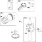 Crankshaft Assembly for Briggs and Stratton Model No. 125P02-0012-F1 Vertical Shaft Engine