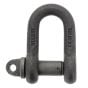 Alloy Steel Tested D Lifting Shackle with Screw Collar Pin - S.W.L. 0.50 Ton