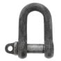 Alloy Steel Tested D Lifting Shackle with Screw Collar Pin - S.W.L. 3 Ton