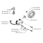 Ignition System  for Husqvarna 32 BT Trimmer/ Edgers