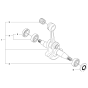 Crankshaft Assembly For Husqvarna 353 Chainsaw 