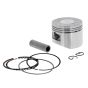 Piston & Rings for Honda GXH50 Engines - Replaces 13101 ZM7 010