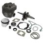 Stihl TS400 Engine Rebuild Kit - 400 431