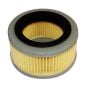 Air Filter for Stihl SR320, SR400 Mist Blower - OEM No. 4203 141 0300