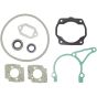 Set Of Gaskets for Stihl TS400, TS400 - 4223 007 1050