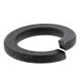 Lock Washer M16 for Wacker Neuson Machines - 5000012650