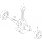 Crankshaft Assembly for Husqvarna 543AE15 Earth Auger