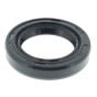 Drive Side Oil Seal fits Robin EY20 Engines - Replaces OEM 044-02501-60