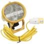 110v Flood Lamp Head c/w Lead & Plug