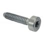 Pan Head Screw D5 x 24 for Stihl TS410 TS420 Disc Cutter - OEM No. 9075 478 4159