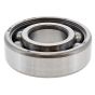 Bearing 6204DDU for Belle Promix 1200-1600 Mixer - 949/99516