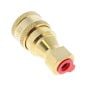 ISO B Brass Coupling ISO 7241-B 210 Bar MWP, Thread Size: 02 (1/8"), Female