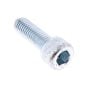 Socket Head Screw (10x30 F Thread) for Plasic Mixer Drum