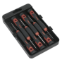 Precision Screwdriver Set 6pc Sealey Part No. AK97302