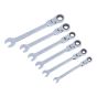 Blue Spot Flexible Head Ratchet Set Metric 8-17mm 6 Piece