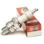 RDJ7Y Champion Spark Plug 14mm