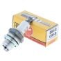 Genuine NGK CM-6 Spark Plug - 5812 - Sold Individually