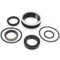 Steering/Swivel Ram Seal Kit Fits Winget Dumpers - CSE204