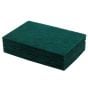 Scouring Pad General Use (Red)