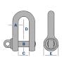 Alloy Steel Tested D Lifting Shackles with Screw Collar Pin