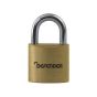 DEFENDER Security Brass Padlock by Squire, Various Sizes