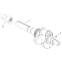 CrankShaft for Kohler ECH650 Engines