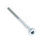 Torx Bolt for ECHO PPT-2620HES, PPT-2620ES Pole Pruners - OEM No. V805000340