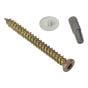 Concrete Frame Screw High-Low Thread, Torx